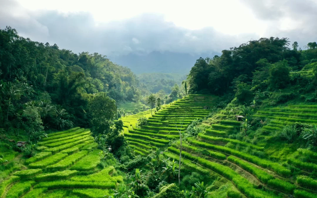 RA-Viajes-Bali-Portada